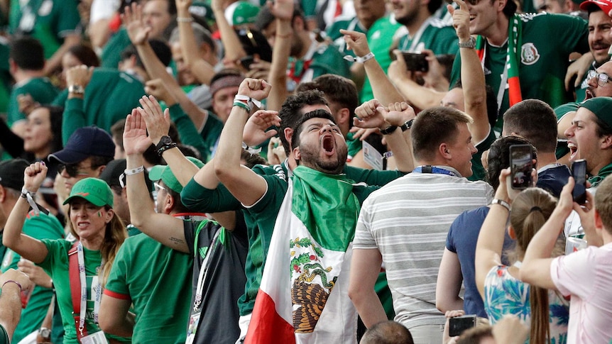 Mexican fans celebrate after match against Sweden