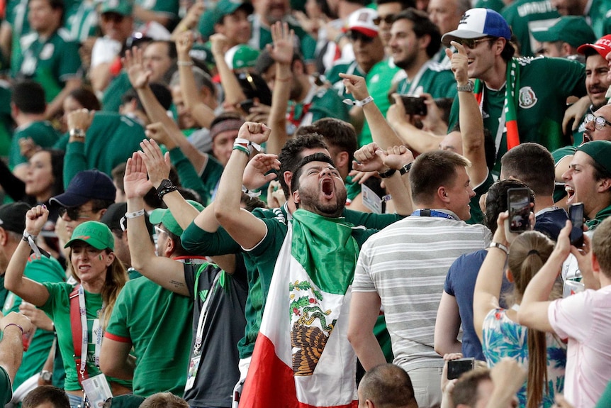 Mexican fans celebrate after match against Sweden