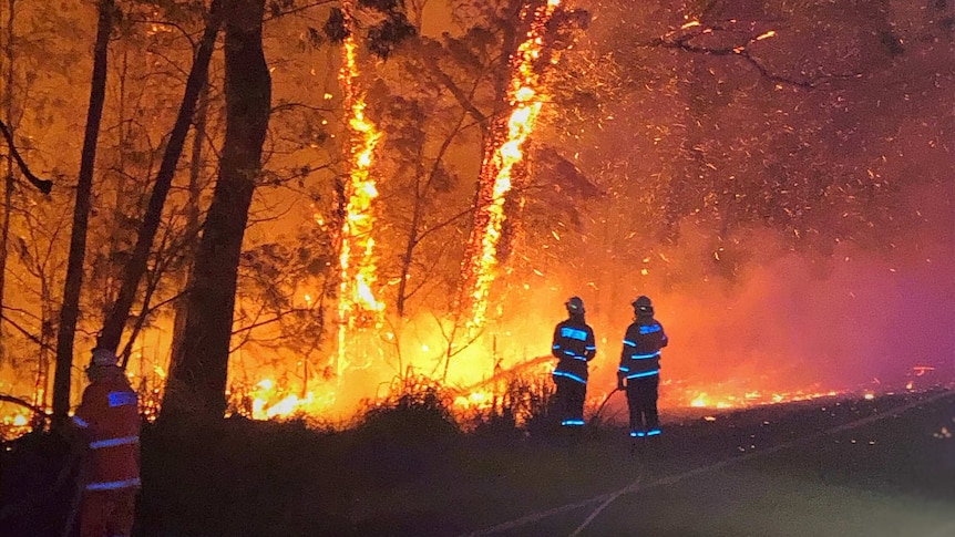 Workers near flaming trees during the fire.