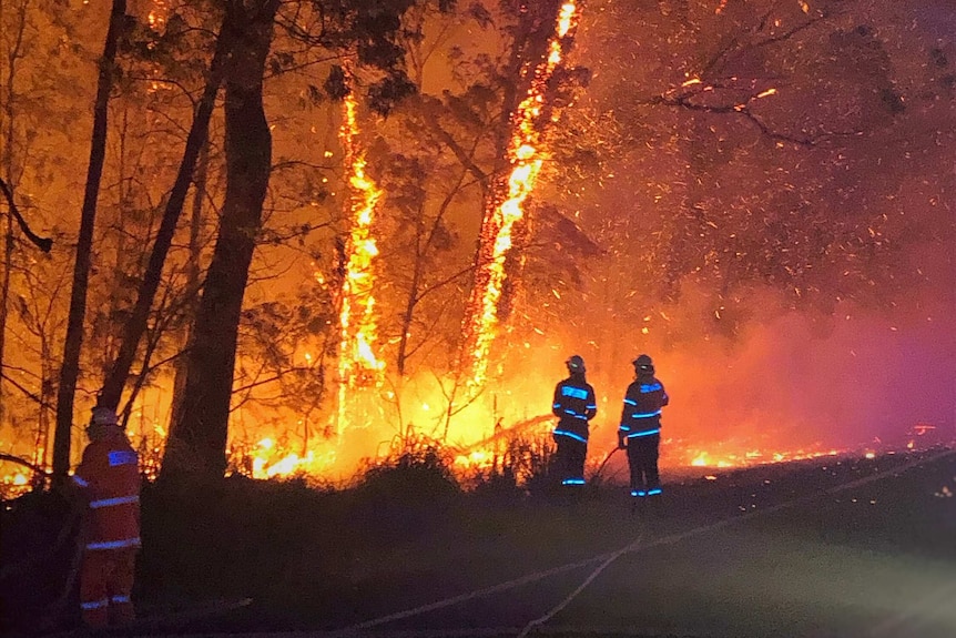 Workers near flaming trees during the fire.