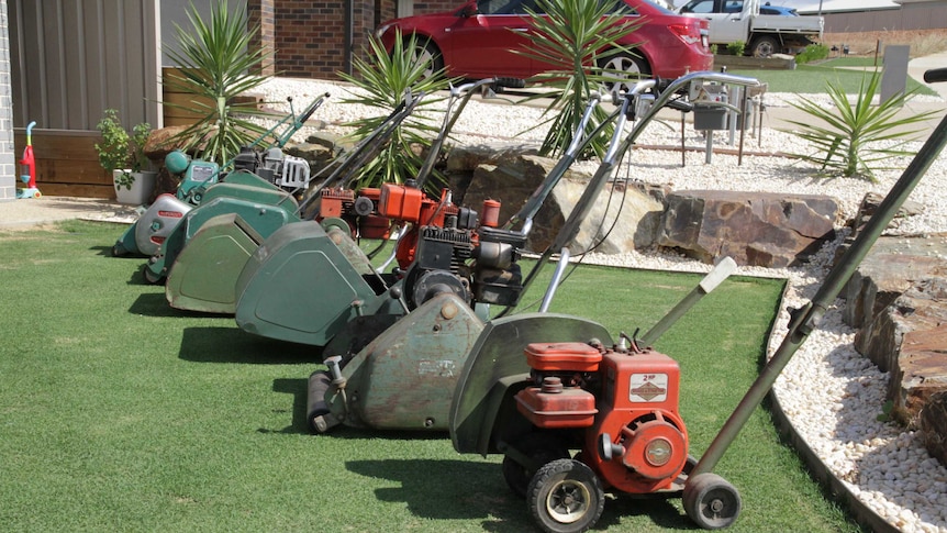 Old lawn mowers restored in Wagga Wagga