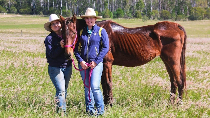 Two women stand in front of an emaciated horse