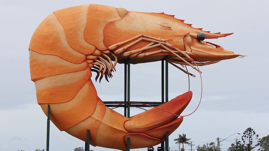 A sculpture of a large orange prawn.