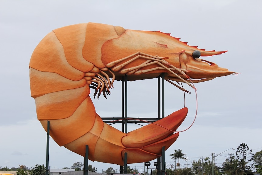 A sculpture of a large orange prawn.