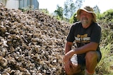 A man crouching down in front of a big pile of oyster shells