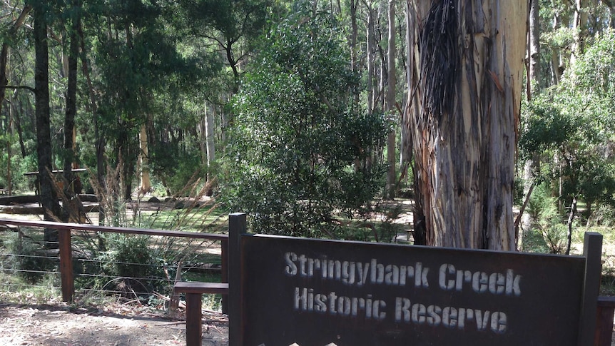 a green sign by a tree welcomes visitors to Stringybark Creek Reserve, which has picnic facilities in the background