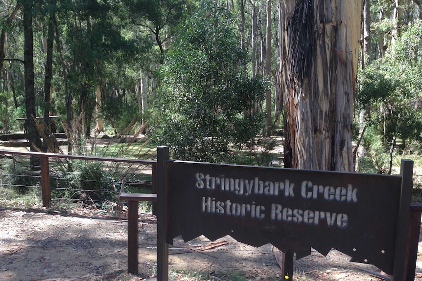 a green sign by a tree welcomes visitors to Stringybark Creek Reserve, which has picnic facilities in the background