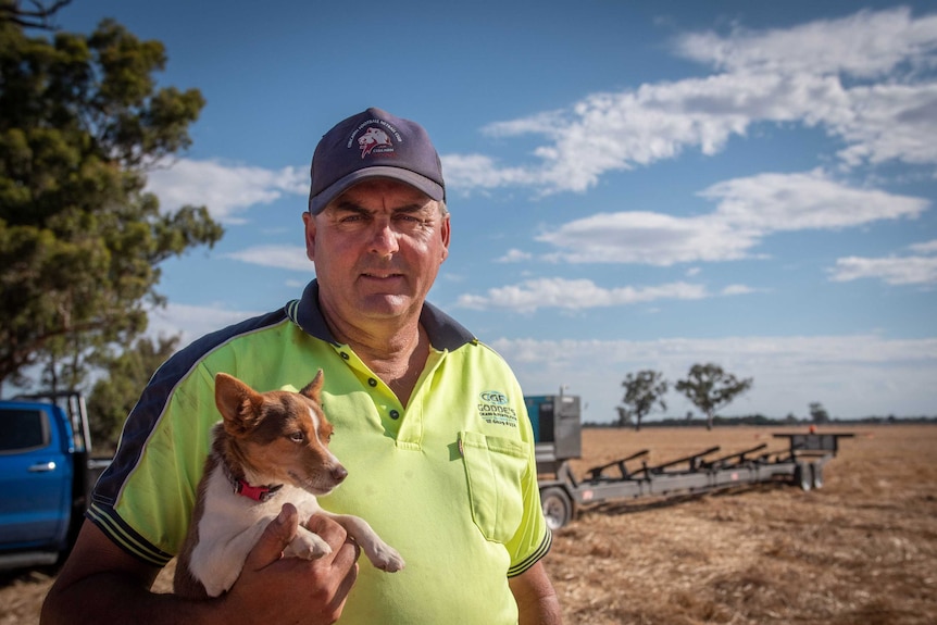 A man wearing a high-vis t-shirt, blue cap, holding a small dog stands in a paddock with a piece of machinery behind.