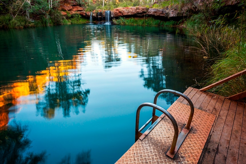 Pool with ladder