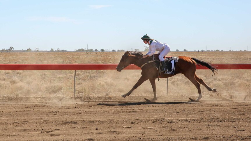 A female jockey rides a horse on a dusty race track.