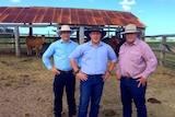 Taskforce chair Robbie Katter, Queensland treasurer Curtis Pitt and Member for Dalrymple Shane Knuth stand in a yard with cattle