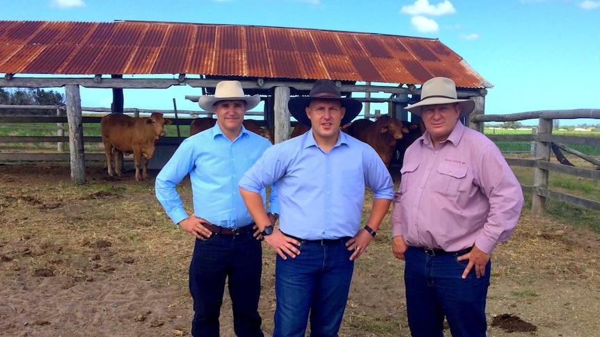 Taskforce chair Rob Katter, Queensland treasurer Curtis Pitt and Member for Dalrymple Shane Knuth stand in a yard with cattle