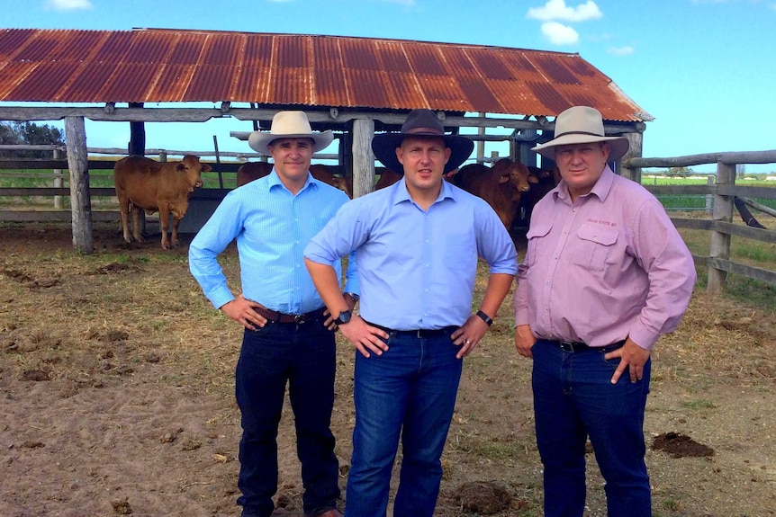Taskforce chair Robbie Katter, Queensland treasurer Curtis Pitt and Member for Dalrymple Shane Knuth stand in a yard with cattle