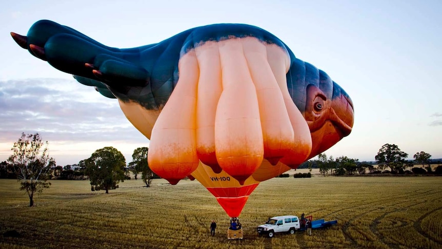 A hot-air balloon called Skywhale