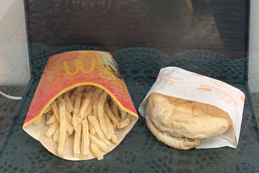A burger with a side of fries protected in a glass case.