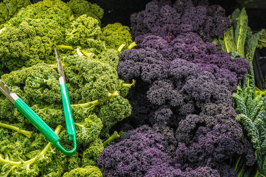 Kale in supermarket, vegetables, superfood,