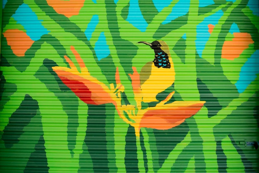 An Australian sunbird and tropical plants painted onto the corrugated surface of a roller door.