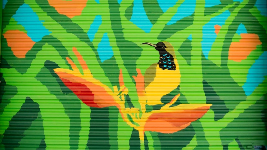 An Australian sunbird and tropical plants painted onto the corrugated surface of a roller door.