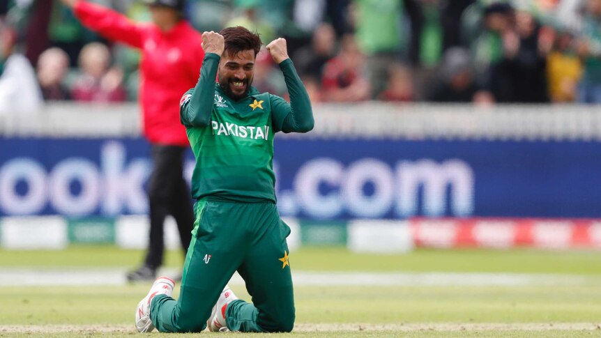 Mohammad Amir pumps his fists and smiles while kneeling on the ground.