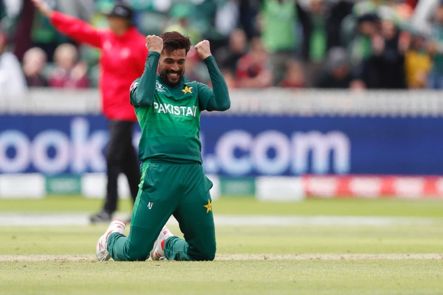 Mohammad Amir pumps his fists and smiles while kneeling on the ground.