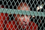 James Ricketson has his head up against caging as he speaks to journalists.