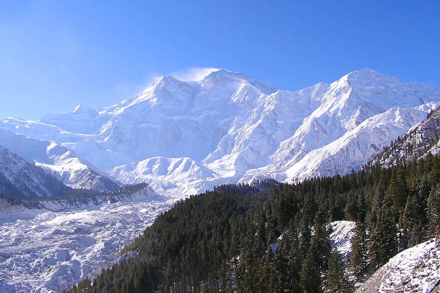 Snow covered, epic mountain range with pine trees over the base and a glacier across the valley.