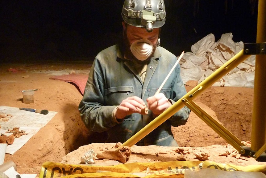Excavating fossils of extinct giant birds  in Thylacoleo Caves