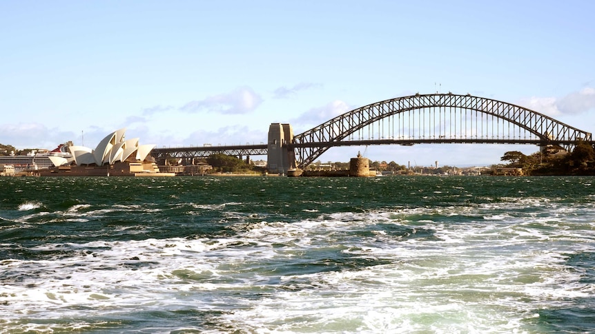 Sydney Harbour has over 586 species of fish