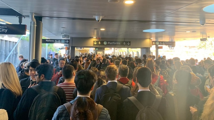 The queue at Strathfield station this morning