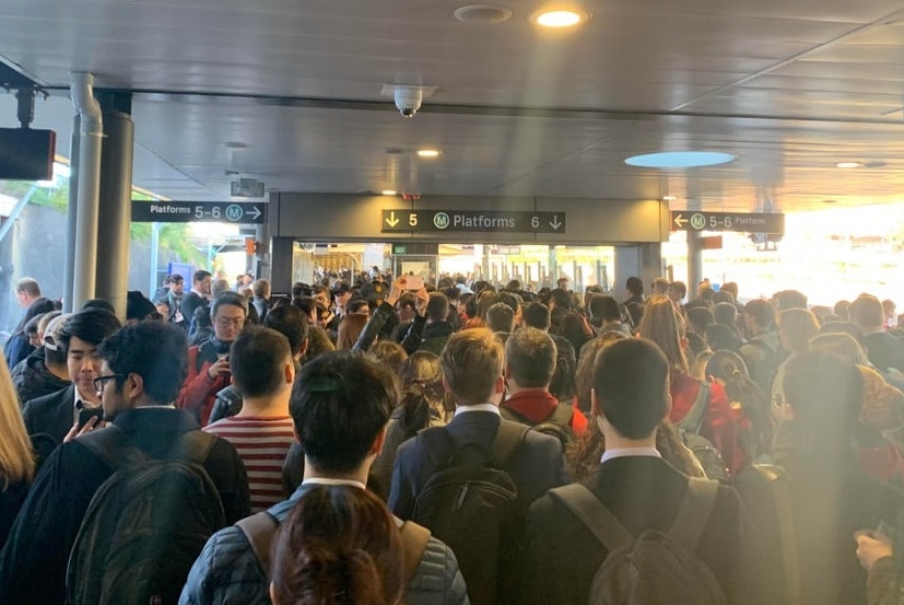 The queue at Strathfield station this morning