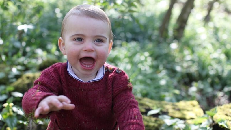 Prince Louis stands, propped up on a mossy log with moss all over his maroon sweater