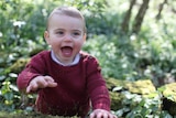 Prince Louis stands, propped up on a mossy log with moss all over his maroon sweater