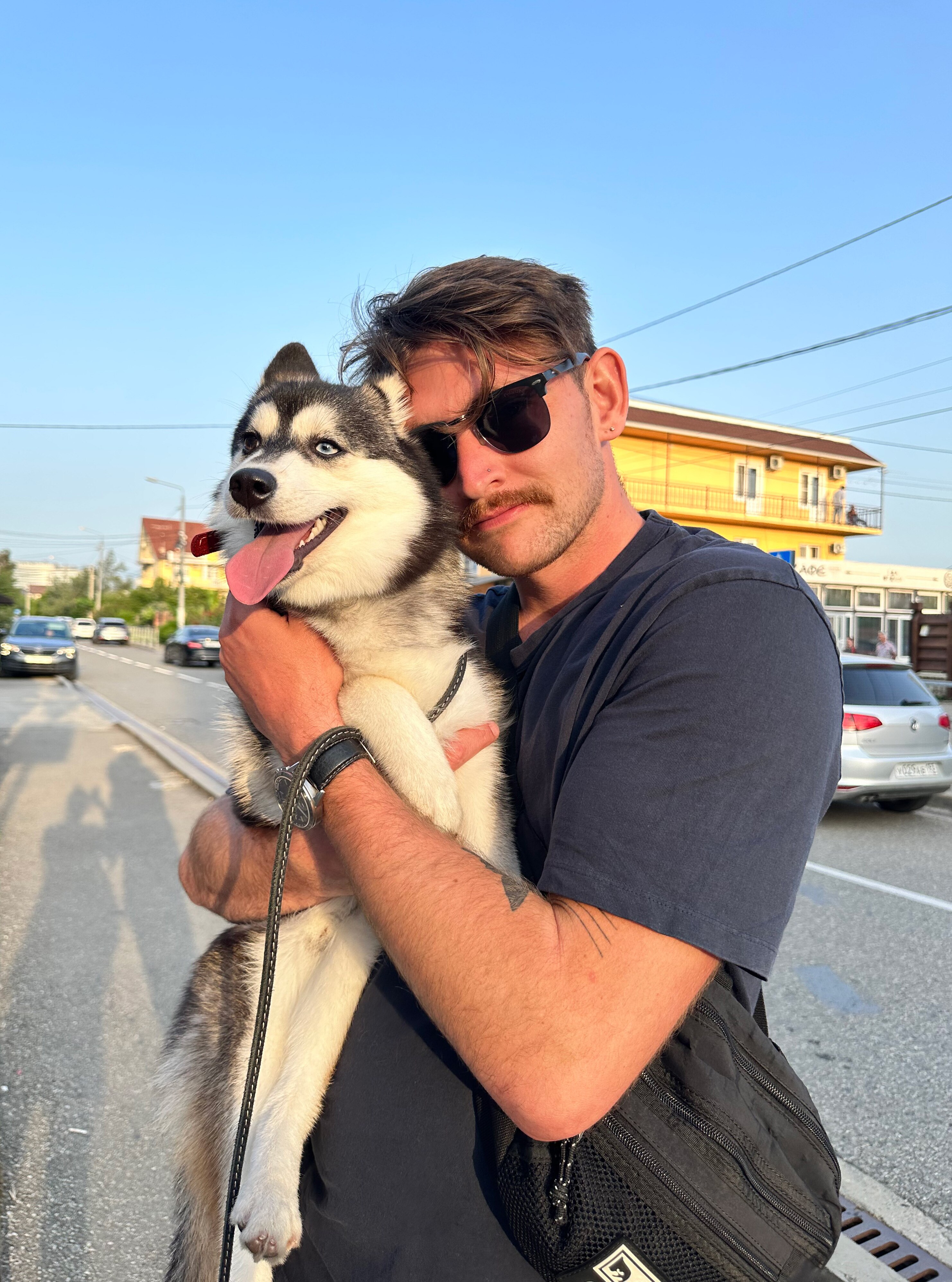 Harley Windsor holding a husky on the side of a road. He wears black sunglasses and shirt.