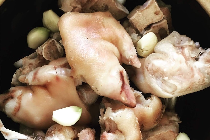 Pig's feet being marinated with garlic and other Asian spices
