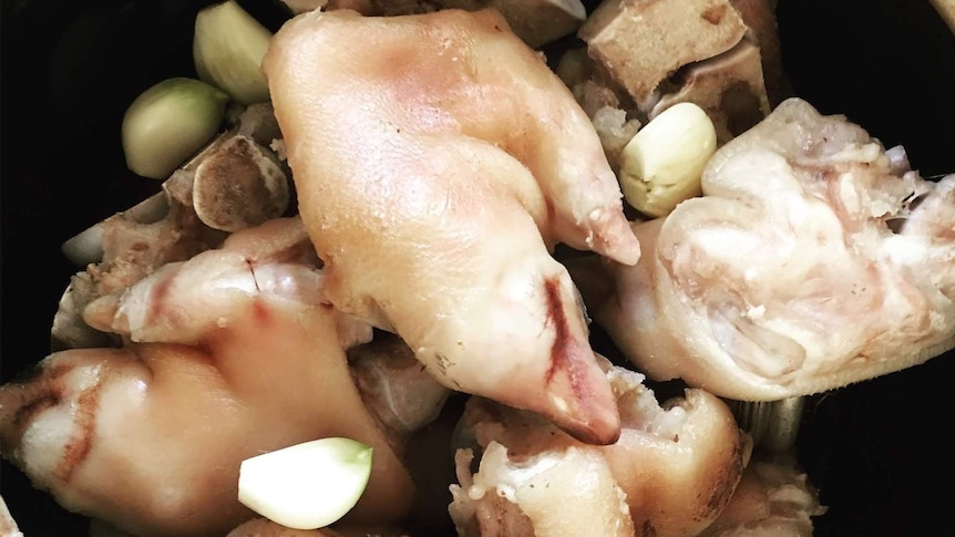 Pig's feet being marinated with garlic and other Asian spices