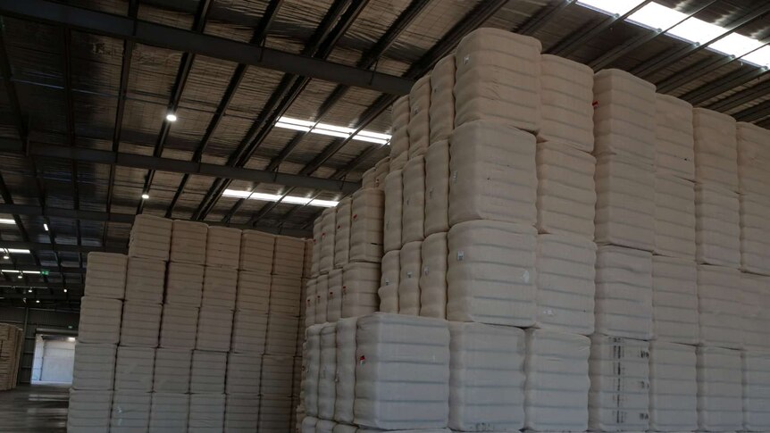 Cotton bales stacked in a shed