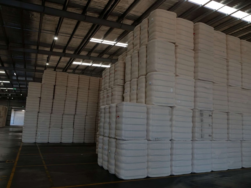 Cotton bales stacked in a shed