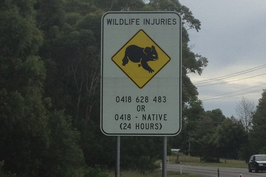 Koala sign.jpg