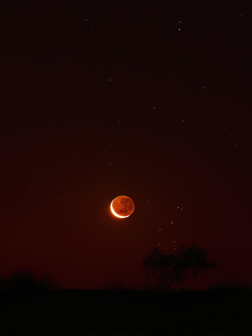 A blood red moon sets into the night sky amongst the bush