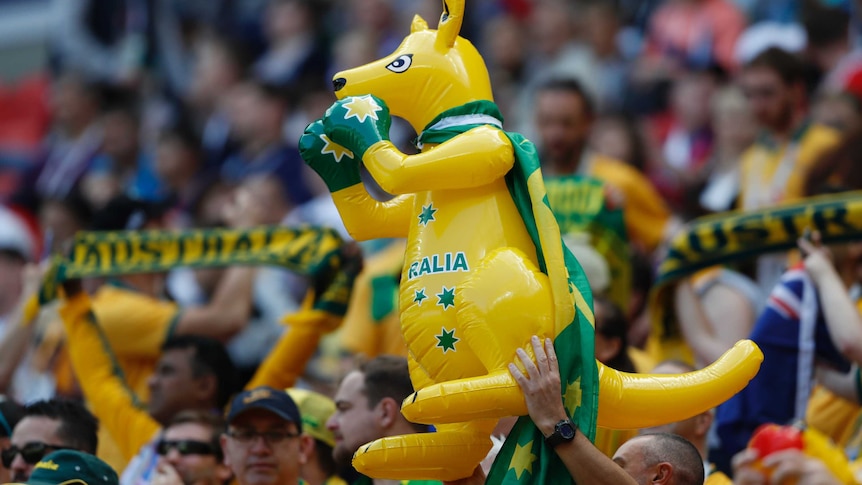 Inflatable kangaroo at Socceroos game