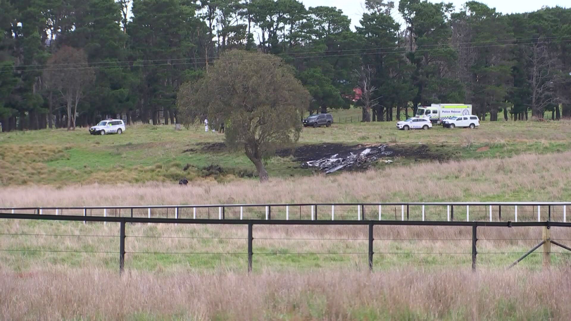 fa55d2737ba347aed776bd47c38b2ea2?impolic