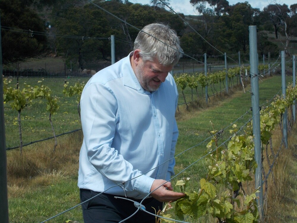 Event gives access to small wineries in Tasmania