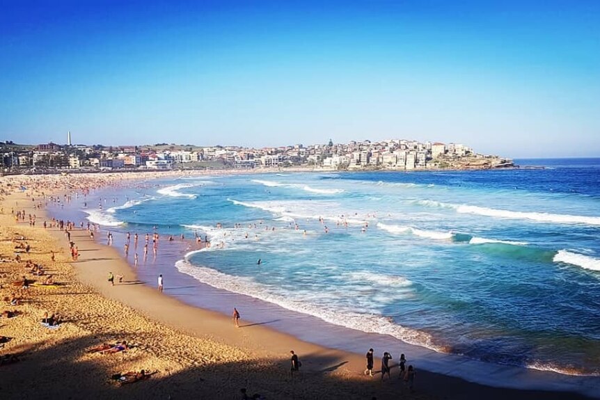 A crowded beach.