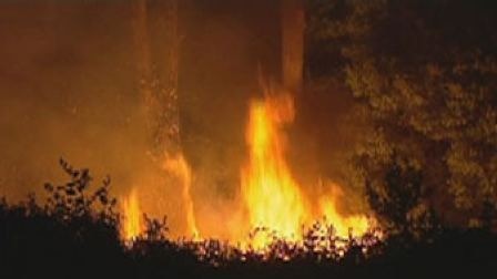 The fire near Mudgee has so far burnt about 140 hectares of farmland.