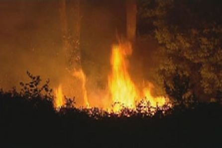 A hazard reduction burn is being carried out in the Yengo National Park to reduce fuel loads.