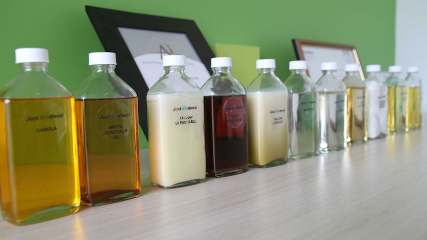 Jars of material used to create biodiesel neatly lined up.