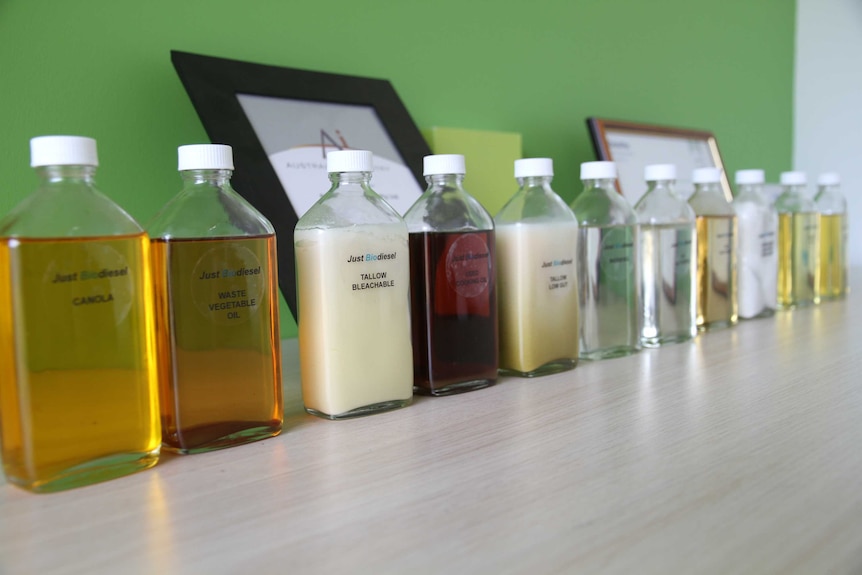 Jars of material used to create biodiesel neatly lined up.