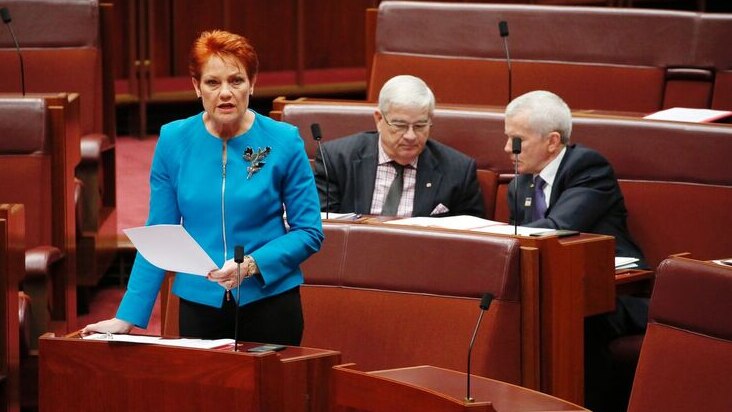 Senator Pauline Hanson speaks during Parliament's Question Time.