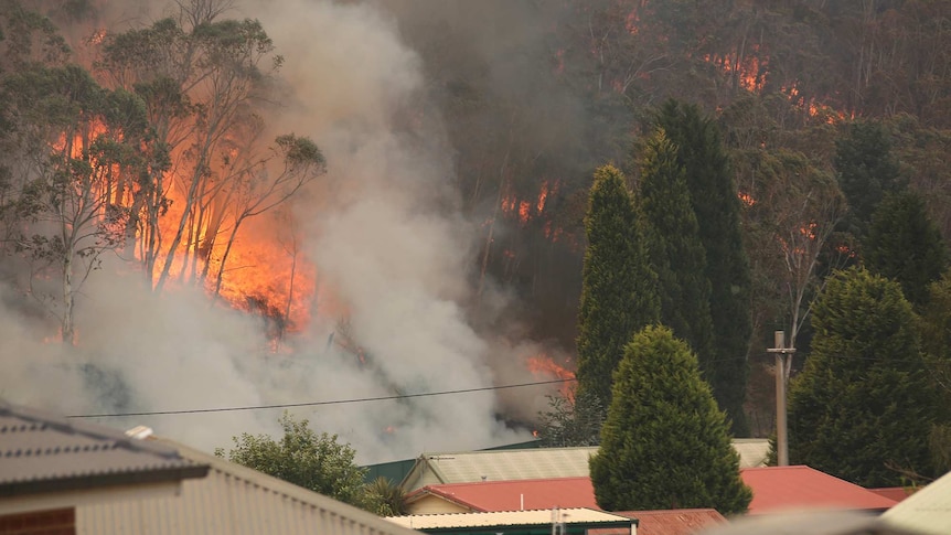 Flames and smoke from a bushfire loom up in the background near houses visible by their rooves in the foregroud.