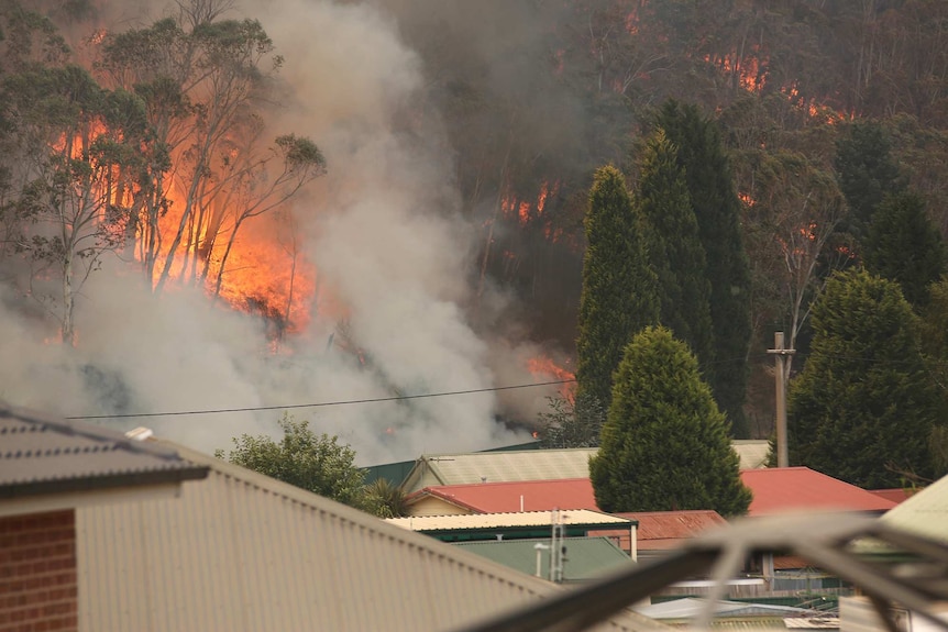 Flames and smoke from a bushfire loom up in the background near houses visible by their rooves in the foregroud.